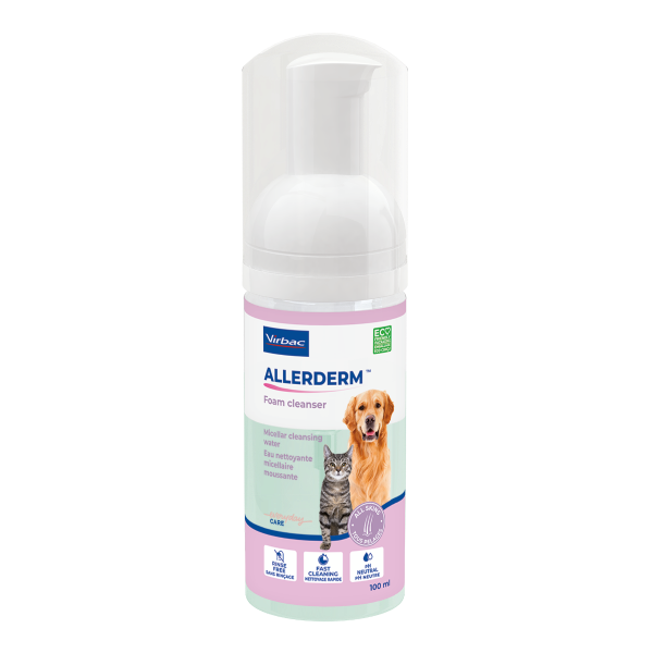 309222_Foam_Allerderm_100ml_face (3)-resize600x600.png
