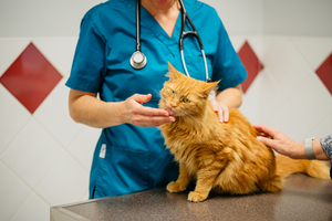 2023-03-07_R_11063 (300x200).jpg