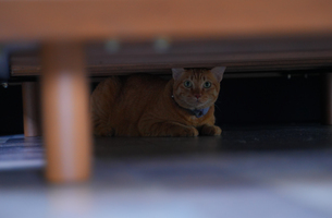 2024-11-21_DSC00355(305x 200).jpg