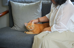 2024-11-21_DSC00416 (308x200).jpg