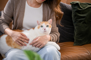 DSC09203 (300x200).JPG