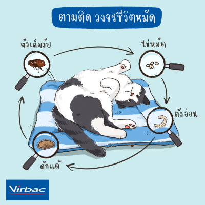 Virbac_37 (400x400).png