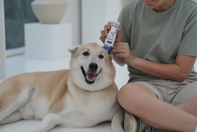 2024-11-20_C_C05409 (400x267).jpg