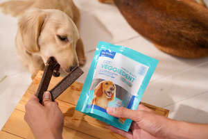 DSC01405 (300x200).jpg