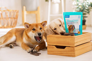 DSC09209 (300x200).jpg