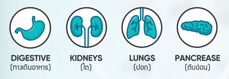 Dental 1 - 800x277.jpg
