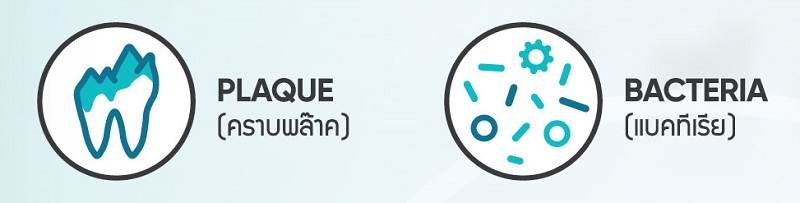 Dental 2 - 800x203.jpg