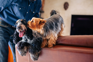 _5D_1625 (300x200).jpg