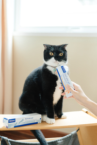 _FSP8523-Edit (200x300).jpg