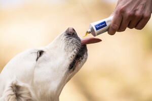 _TBR0414 (300x200).jpg