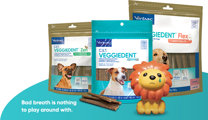 Virbac outlet veggiedent medium